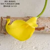 Yellow stamens yellow