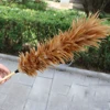 Natural