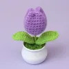 Purple tulip potted plant