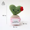 Green love wear-red pollen potted plant
