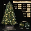 3 meters, 2350 branches, 800 lights