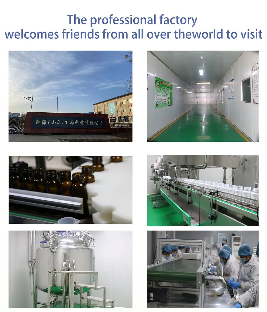 Oem Wholesale Suppliers Multi Trace Element Mineral Tablets Oyster Zinc Magnesium Selenium