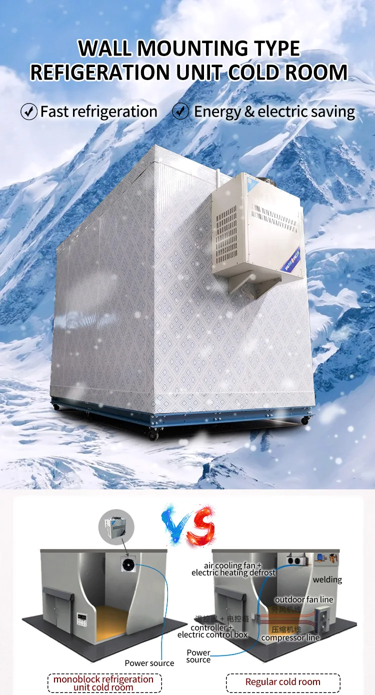 20ft 40ft Container Walk in Cold Storage Room Refrigerator Freezer Commercial Cold Room Storage