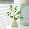 Wine jug, ceramic vase, fresh green leaves