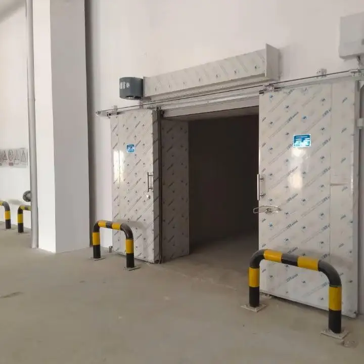 Complete turnkey cold storage and freezers including panels, doors and refrigeration equipment