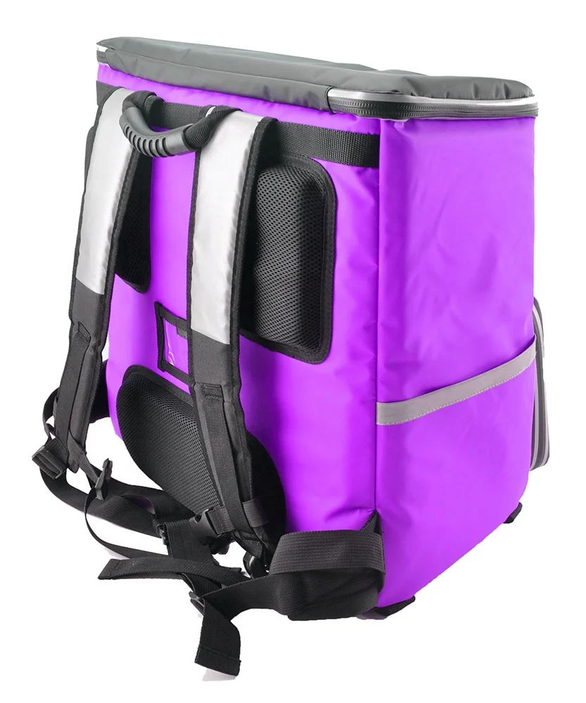 insulated bike delivery bag