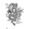 ดราก้อน-05