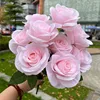 คนรัก9หัวกุหลาบสีชมพู