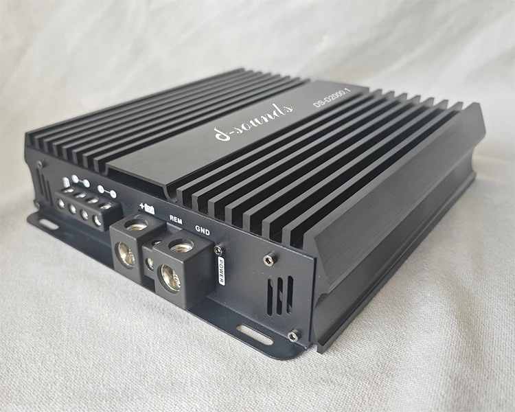 2000 Watts High Power Brazil Design Mini Digital Monoblock Car Audio