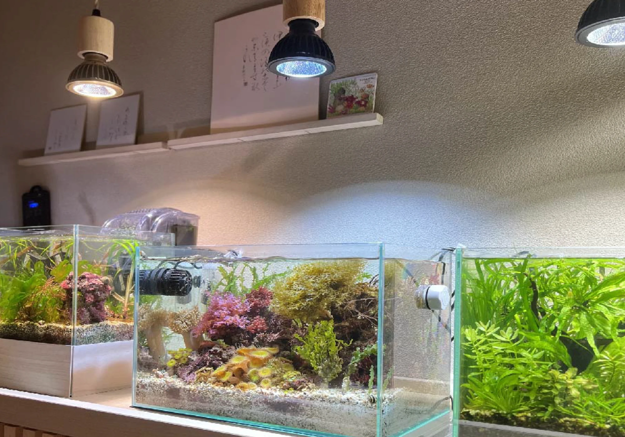 SUSANOO 10W LEDライト SUSANOO 10W LED Aquarium Lights - High Quality & Waterproof
