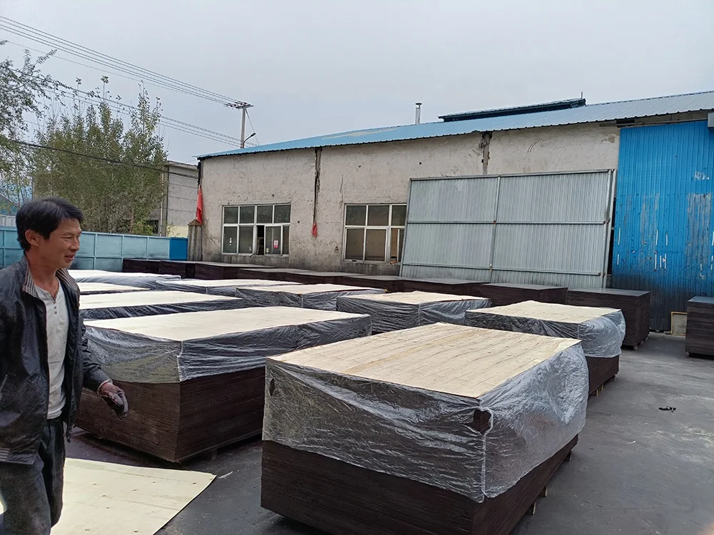 18 mm Construction Shuttering Board Phenolic Plywoods Black Concrete Formwork Film Faced Plywood