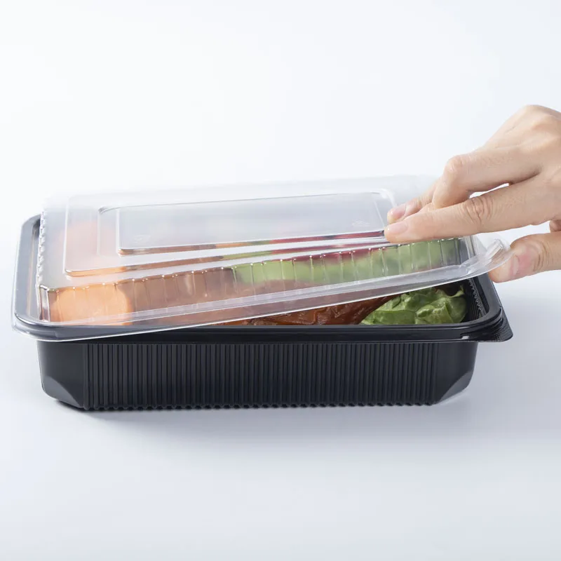 Bpafree Plastic Freeze Food Storage Containers With Lids 38 Oz To Go Bento Box 3 Compartment