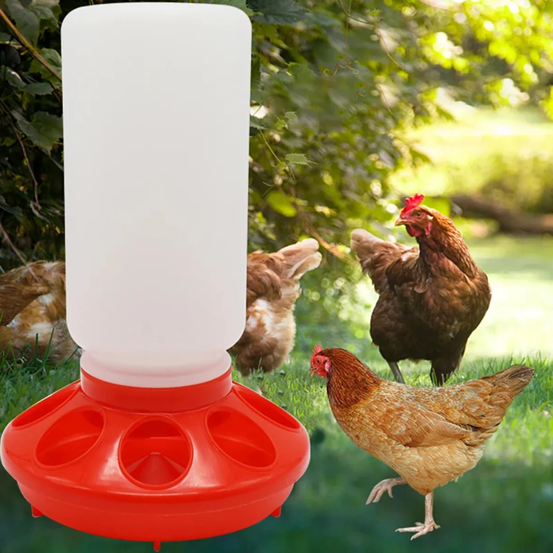 Efficient Chicken Feeding with HJ Automatic Dispensers - Main Image