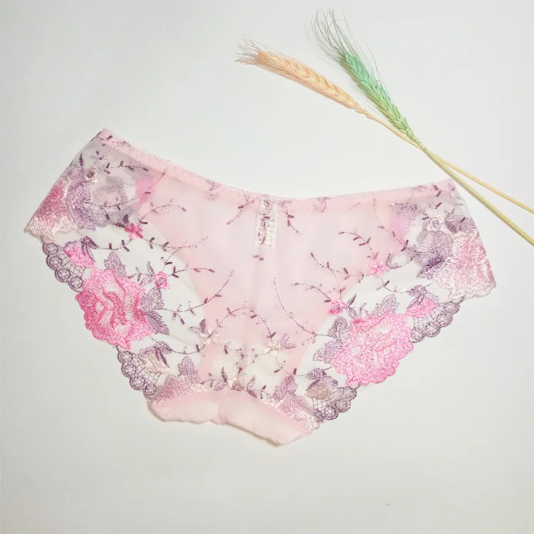 Embroidered Mesh Cheeky Panty - Pink Floral Embroidery