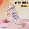 Purple 750ML [Color Box Packaging]