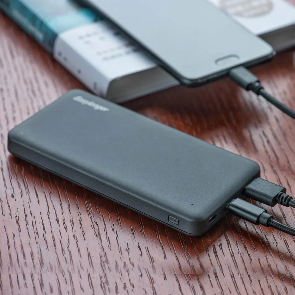 Factory Direct Price Portable Oem Dual Usb Output Micro Type c Slim Power Bank 10000 Mah