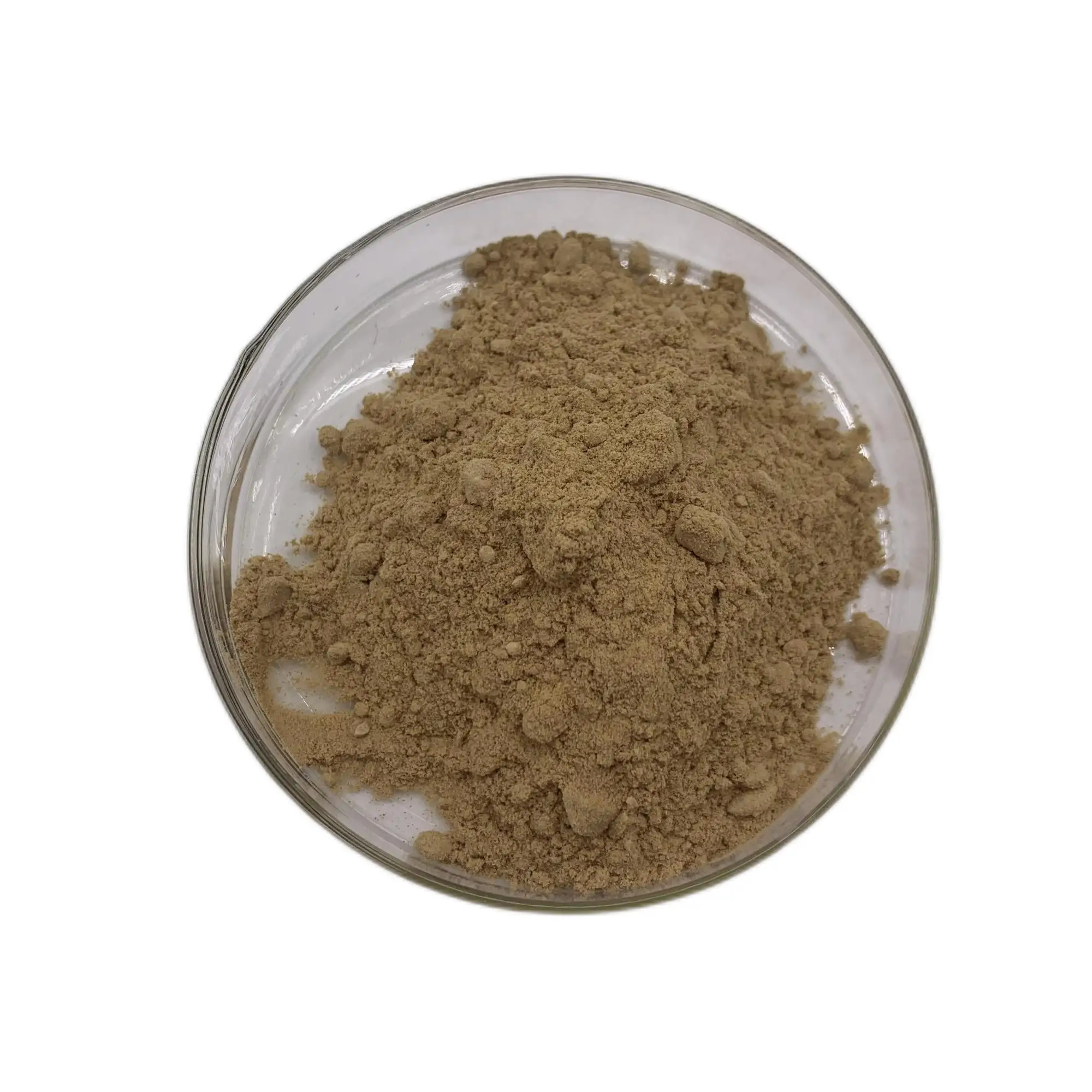 Orchis Spectabilis Powder 10:1 Genus Orchis Extract Orchis Mascula Extract