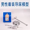 Wearable male catheterization model