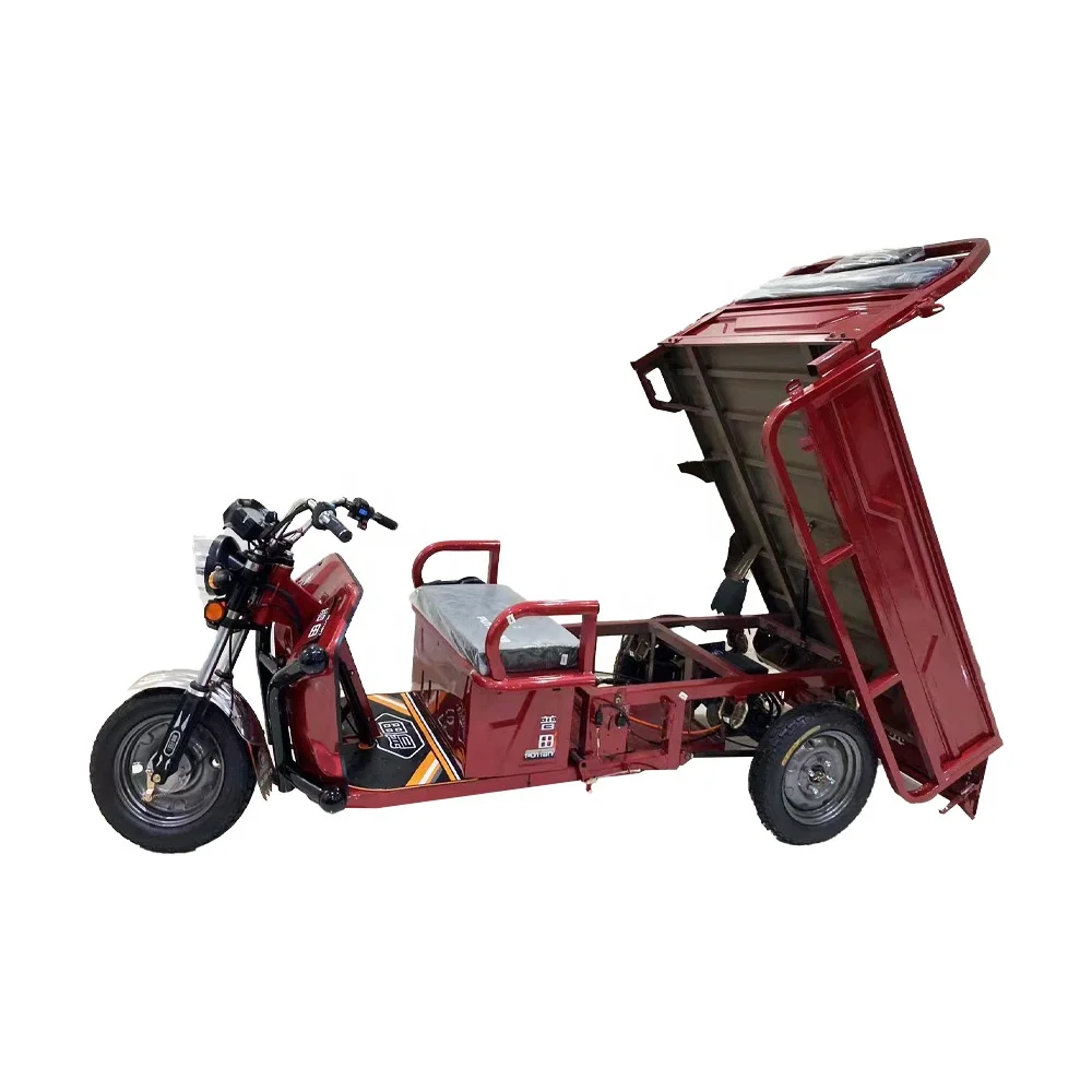 Best Selling Motorcycle Three Wheel Sidecar E Bike Electric Bicycle 3 Adult Trike Motocross Waste Container Motorized Tricycle