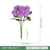 AHF700-067 Color loto