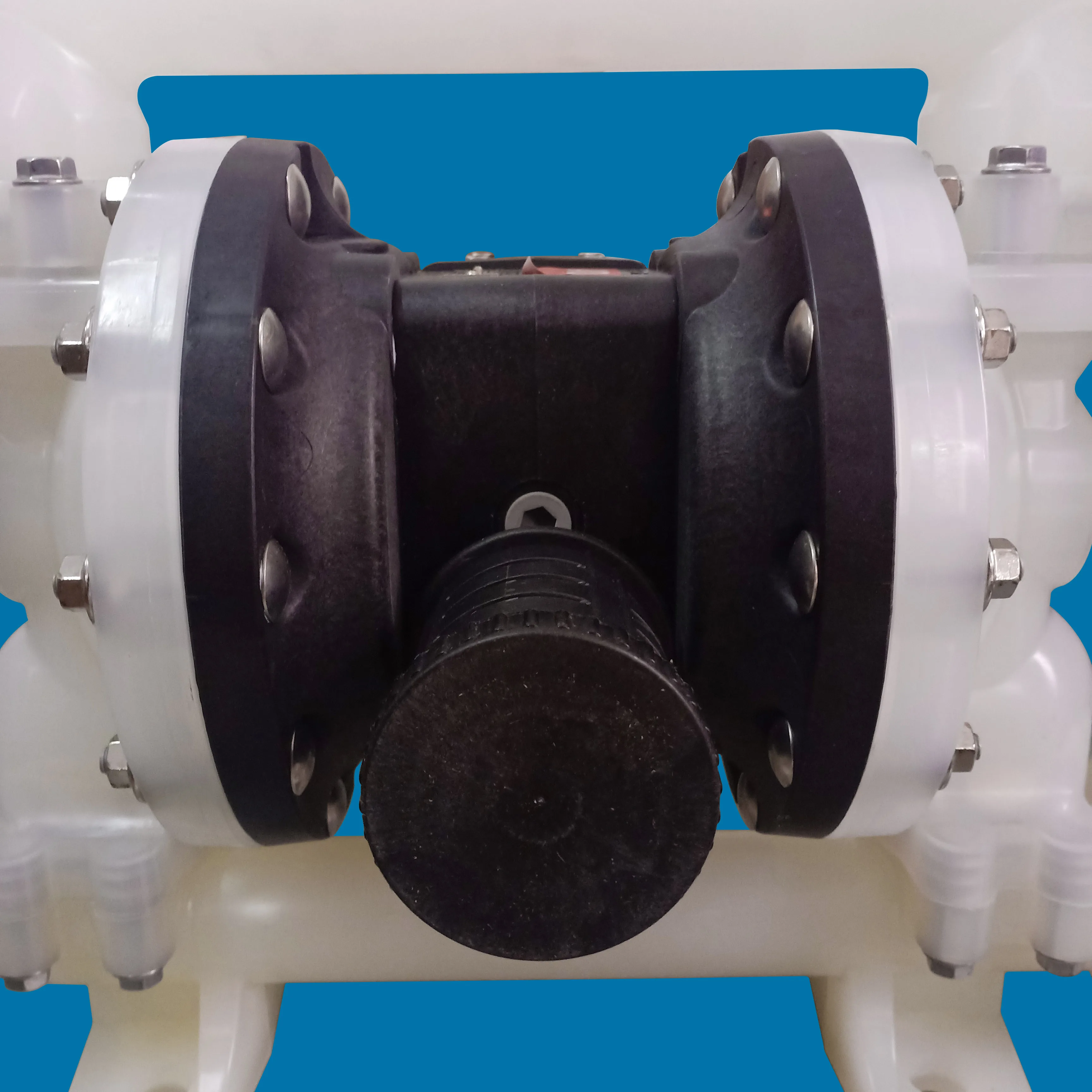 PD10P-FPS-PTT Diaphragm Pump factory