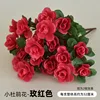 Rose Red 7-Forked Rhododendron