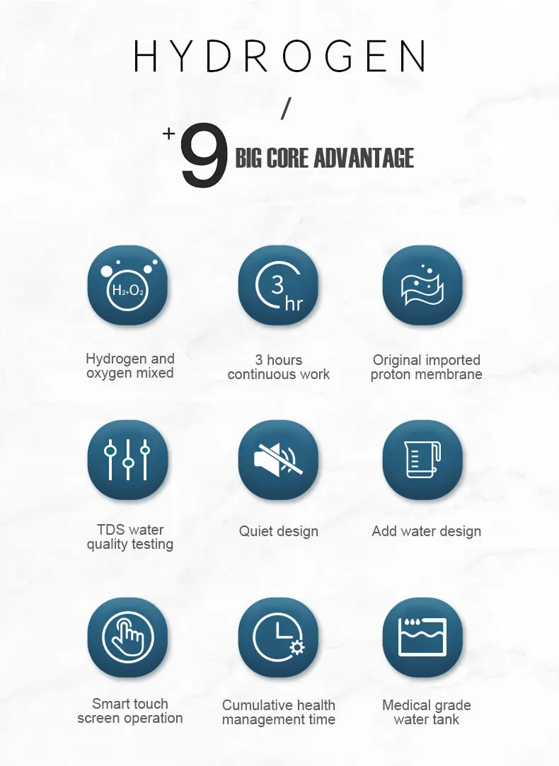Hydrogen Engine Powered Electricity Generator Hydrogen Power Plant For