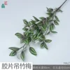 Film-colored Tradescantia zebrina YWLZ Grass Green