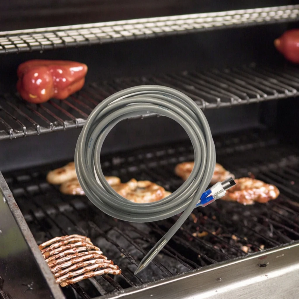Industrial Stainless Steel Pt100 Needle Temperature Sensor Glass Material OEM & ODM Supported for Food Processing & BBQ