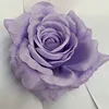สีม่วงอ่อน