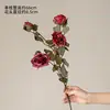 Red 4-headed, scorched-edge tea rose single branch