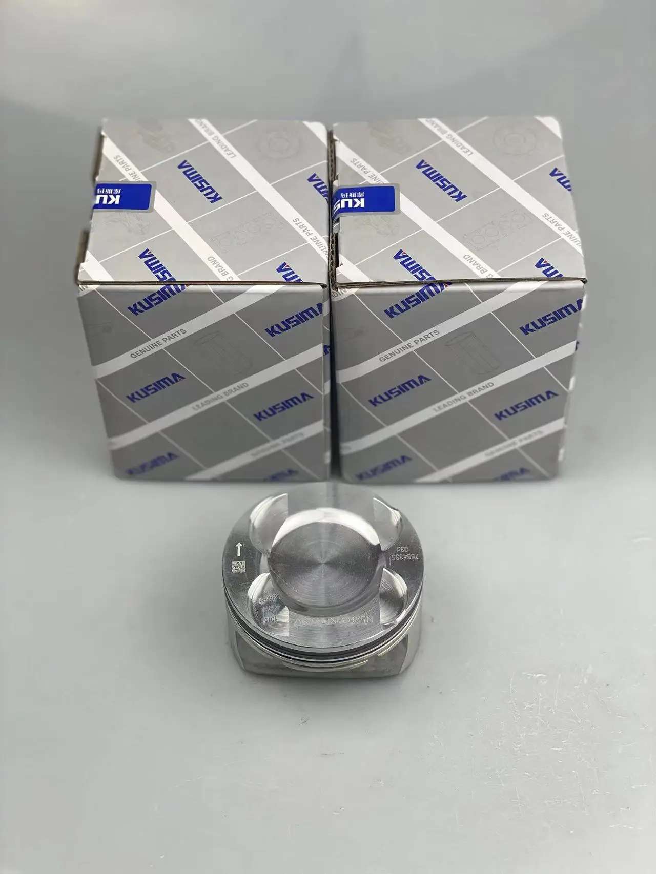 フィリピン ペソ High Quality Auto Engine Part Piston for BMW N52B30BF