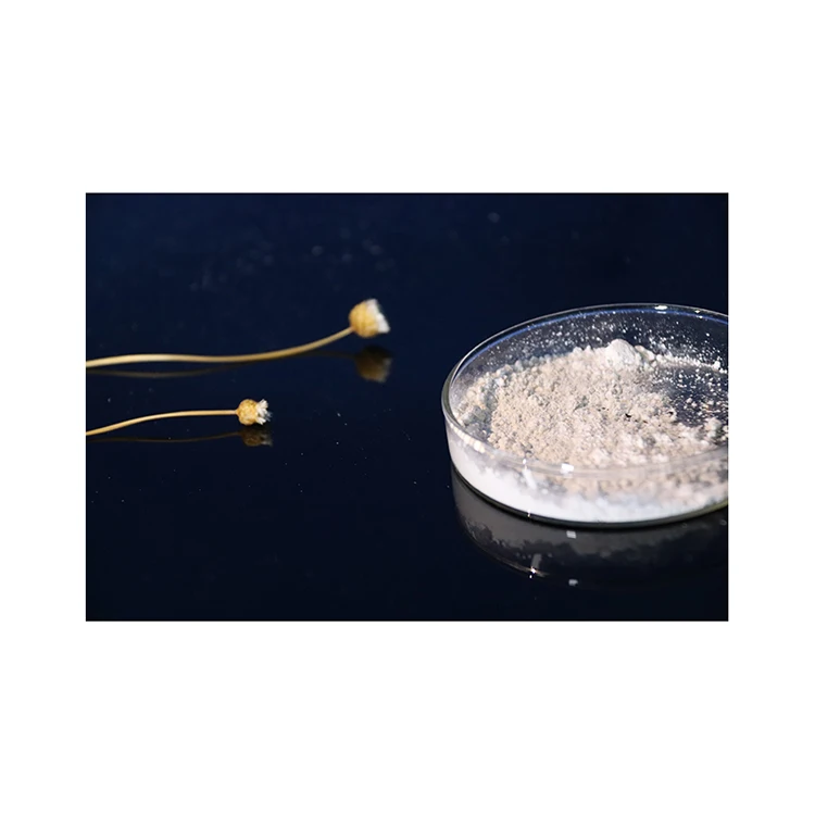 Lime Fob White Powder Water Treatment Chemicals Hydrated Lime Limestone Industrial Grade Solid 1