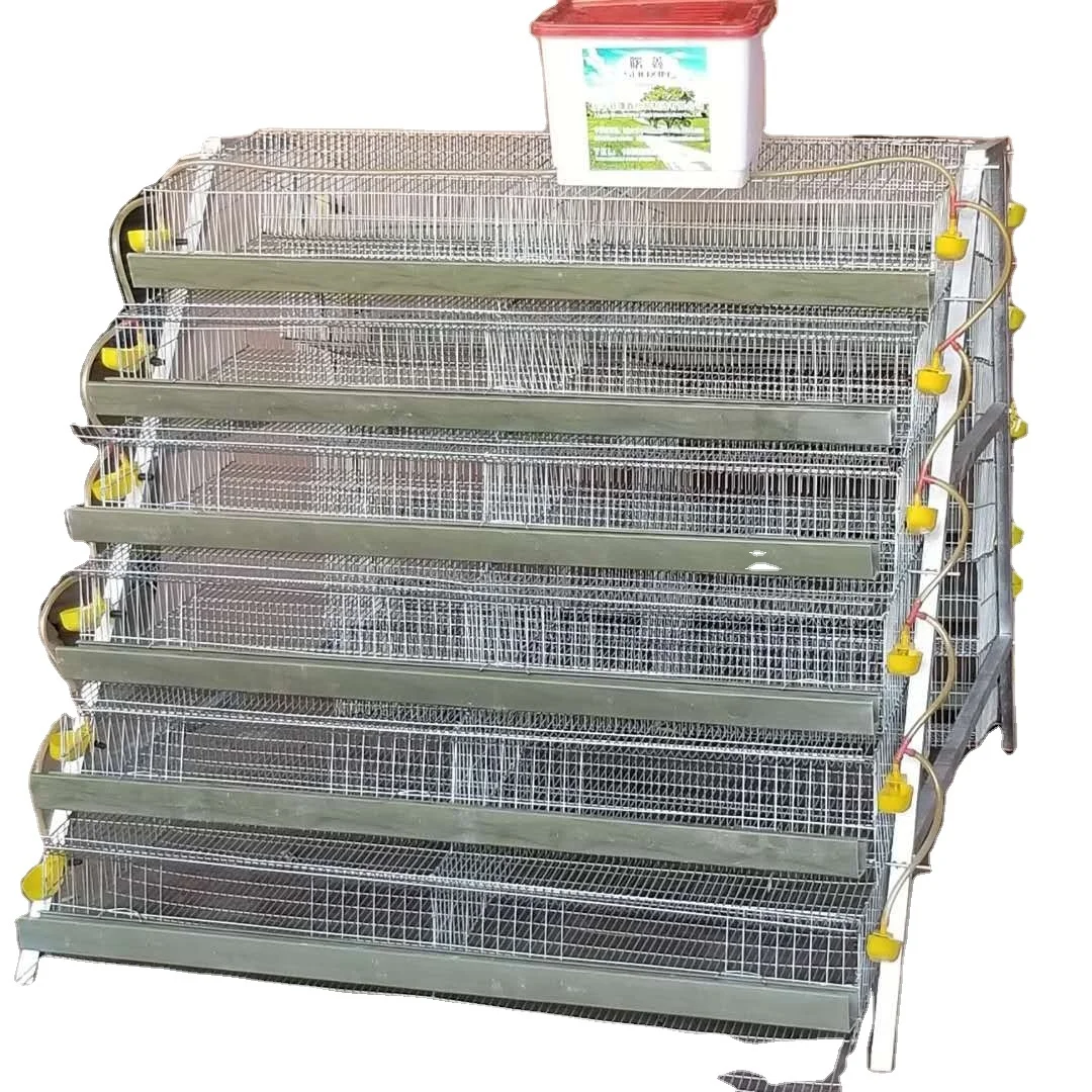 Automatic Battery Type a Quail Cage for Egg Production Commercial Quail Cages