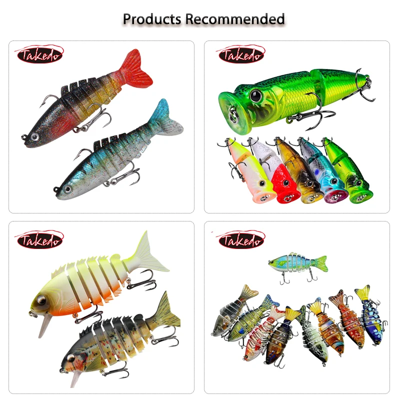 Takedo Hs001 100mm 15.5g Classical Lifelike Lure Bait Abs Plastic Carp