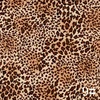 Leopard 9#