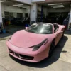 Rose vif