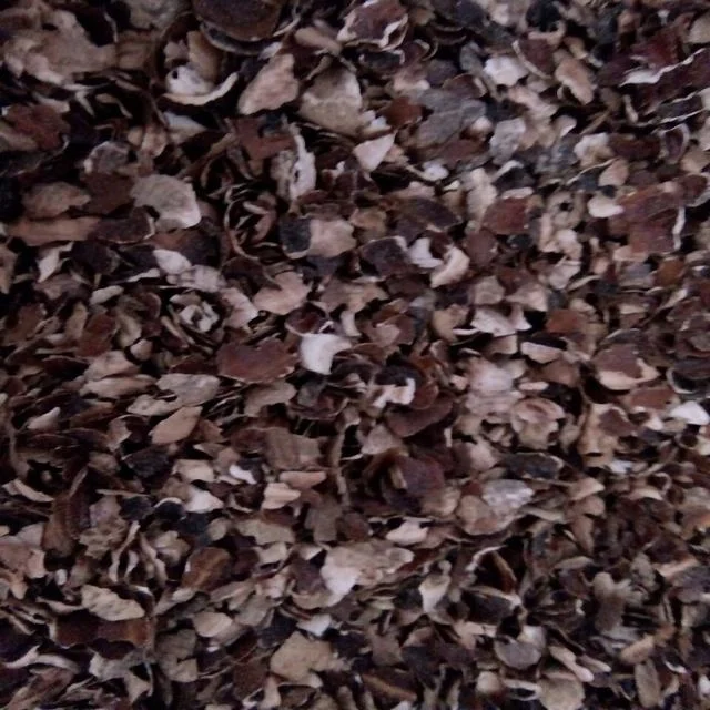 Hot Sale Big Size Agricultural Waste-Cashew Husk for Tanning