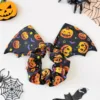 Zucca nera