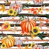 calabaza3