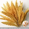Brown seaweed leaves