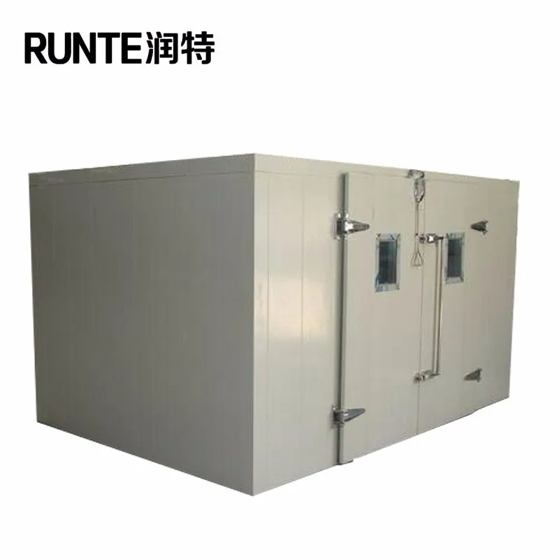 Refrigeration/ Walk in Fridge/ Cold Room Freezer for Sales