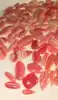 pink to rose red with cream pattern