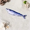 Pacific saury