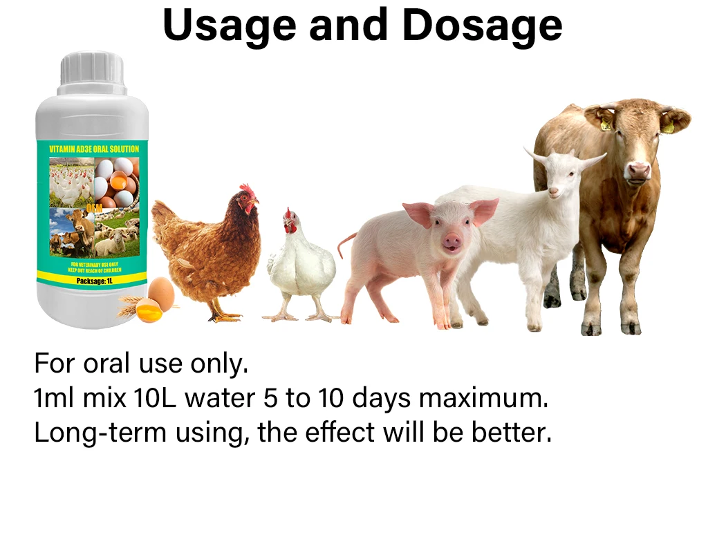 Oem And Odm Vitamin Premix Liquid Multivitamins Vitamin A Liquid For Poultry Livestock Vitamin 3963