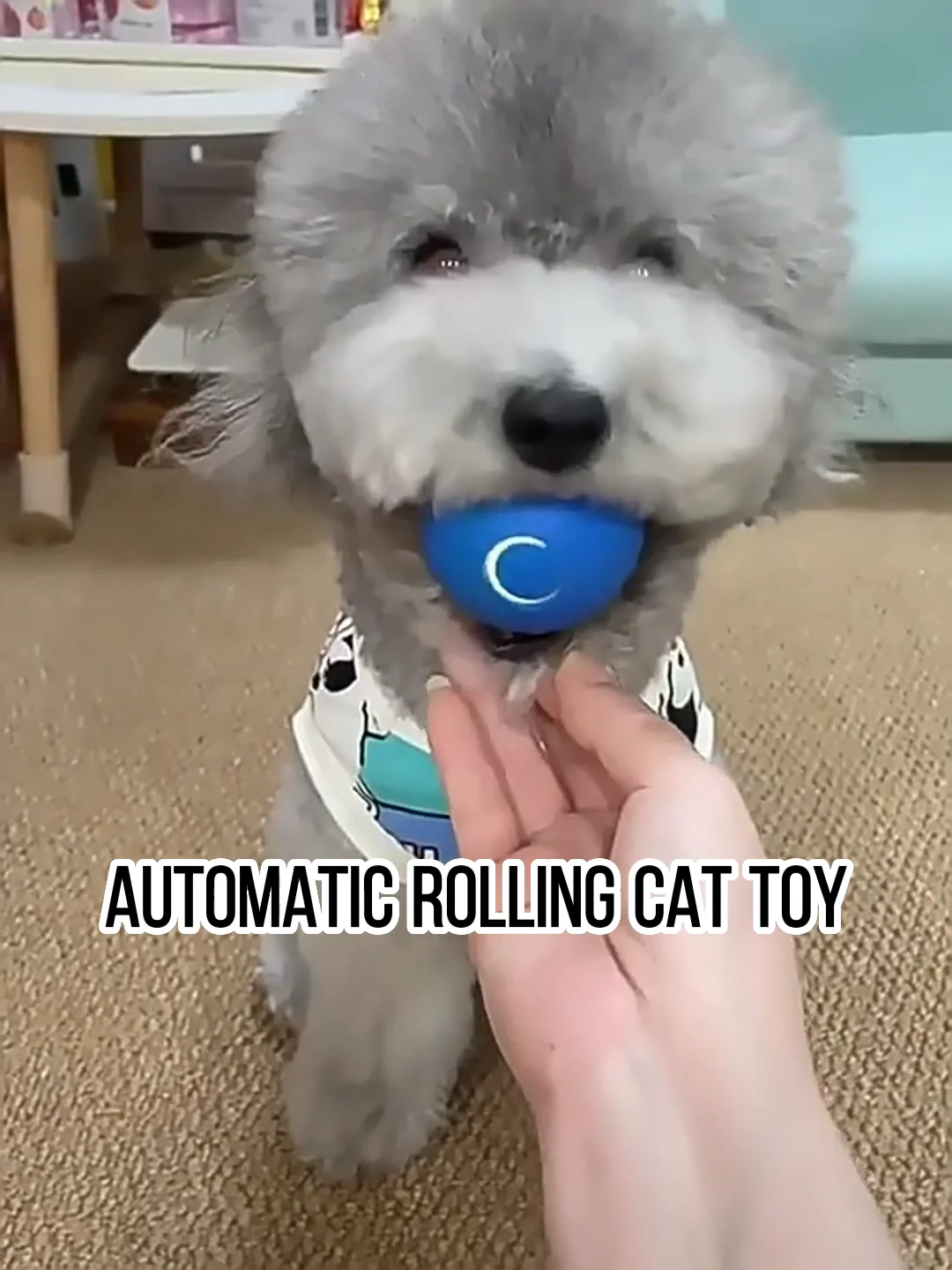 Automatic Rolling Cat Ball Toy Replaceable Jumping Ball Interactive Dog