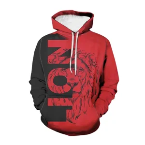 New Couple Winter Sweatshirt 3D Printed Hooded Pullover Fashionable Loose Fit Men's Hoodie
