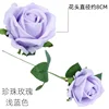 Pearl Rose, Light Purple