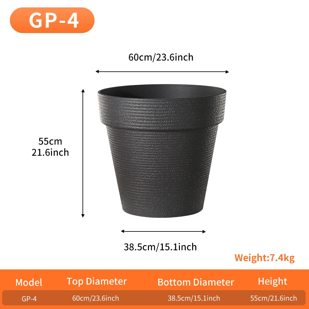 buying jasmine plants Hardy Jasmine For Sale main image 1