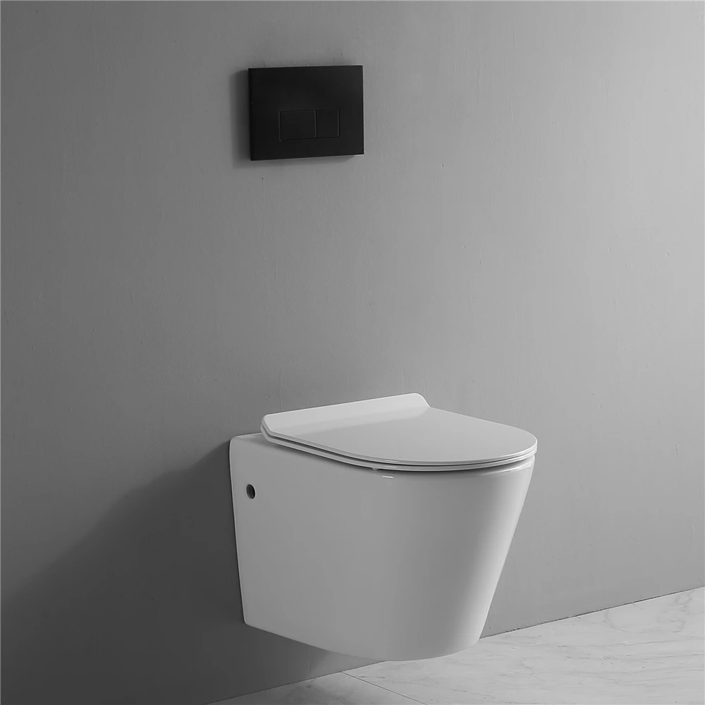 Ce European Wallhung Sanitary Ware Concealed Cistern Rimless Wall